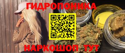 прущие грибы Камышлов
