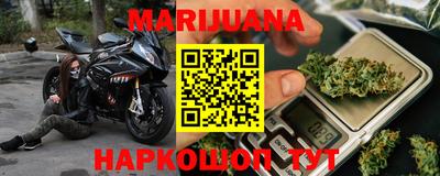 прущие грибы Камышлов